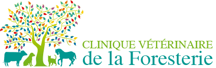 Cabinet vétérinaire de la Foresterie à ROUILLON